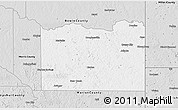 Silver Style 3D Map of Cass County