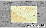 Physical 3D Map of Coke County, darken, desaturated
