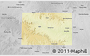 Physical 3D Map of Coke County, desaturated