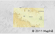 Physical 3D Map of Coke County, lighten, desaturated
