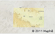 Physical 3D Map of Coke County, lighten, semi-desaturated