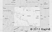 Silver Style Map of Coke County