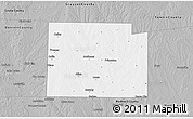 Gray 3D Map of Collin County