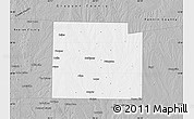 Gray Map of Collin County