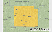 Savanna Style Map of Collin County