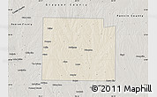 Shaded Relief Map of Collin County, semi-desaturated