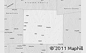 Silver Style Map of Collin County