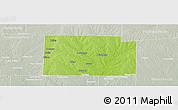 Physical Panoramic Map of Collin County, lighten, semi-desaturated