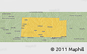 Savanna Style Panoramic Map of Collin County