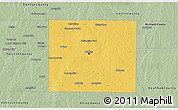 Savanna Style 3D Map of Dallas County