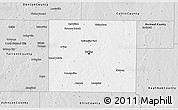 Silver Style 3D Map of Dallas County