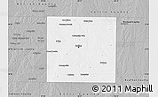 Gray Map of Dallas County