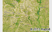 Satellite Map of Dallas County