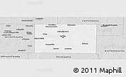 Silver Style Panoramic Map of Dallas County