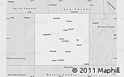 Silver Style Map of Dawson County