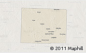 Shaded Relief 3D Map of Denton County, lighten
