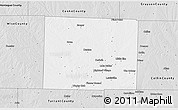 Silver Style 3D Map of Denton County
