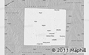 Gray Map of Denton County