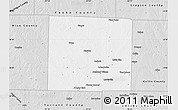 Silver Style Map of Denton County