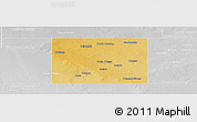 Physical Panoramic Map of Ector County, lighten, desaturated