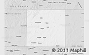 Silver Style Map of Fisher County