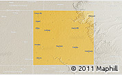 Physical 3D Map of Floyd County, lighten, semi-desaturated