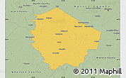 Savanna Style Map of Fort Bend County