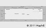 Gray Panoramic Map of Gaines County