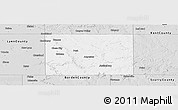 Silver Style Panoramic Map of Garza County
