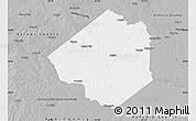 Gray Map of Goliad County