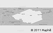 Gray Panoramic Map of Goliad County
