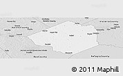 Silver Style Panoramic Map of Goliad County