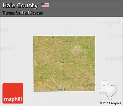 Satellite 3D Map of Hale County, single color outside