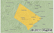 Savanna Style 3D Map of Hays County