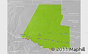 Physical 3D Map of Hidalgo County, lighten, desaturated