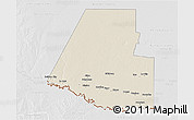 Shaded Relief 3D Map of Hidalgo County, lighten, desaturated