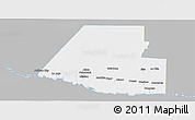 Gray Panoramic Map of Hidalgo County, single color outside