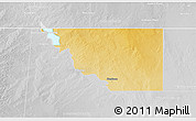 Physical 3D Map of Loving County, lighten, desaturated