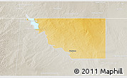 Physical 3D Map of Loving County, lighten, semi-desaturated
