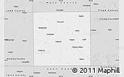 Silver Style Map of Lubbock County