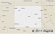 Classic Style 3D Map of Lynn County
