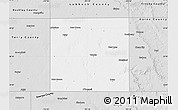 Silver Style Map of Lynn County