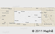 Classic Style Panoramic Map of Lynn County