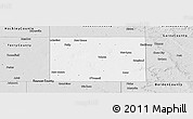 Silver Style Panoramic Map of Lynn County