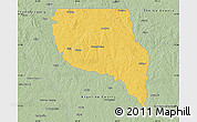 Savanna Style Map of Nacogdoches County