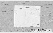 Gray 3D Map of Nolan County