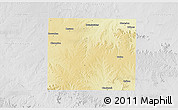 Physical 3D Map of Nolan County, lighten, desaturated