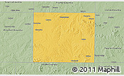 Savanna Style 3D Map of Nolan County