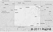 Silver Style 3D Map of Nolan County