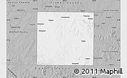 Gray Map of Nolan County